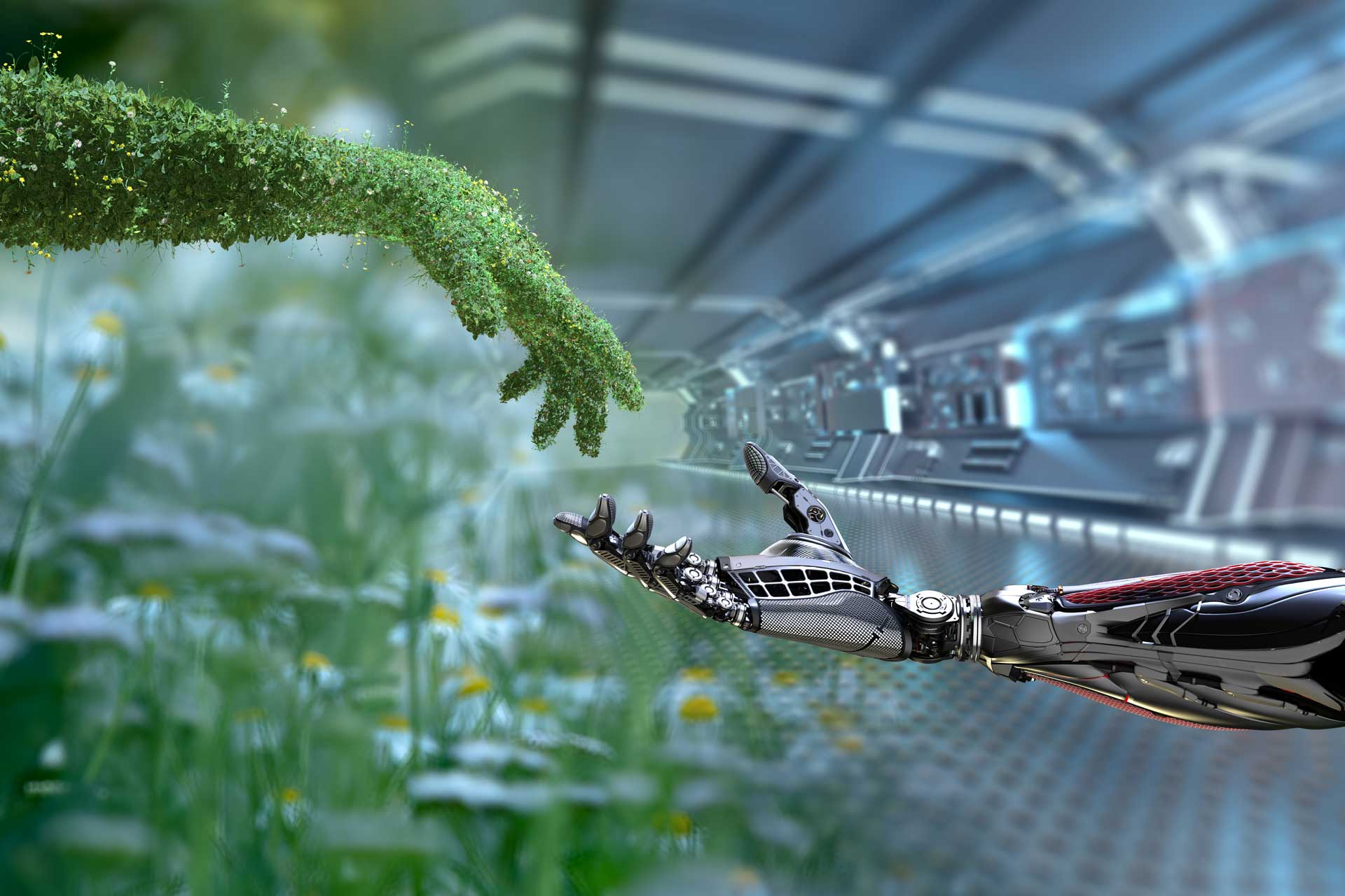digital-carbon-footprint